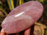 Polished Star Rose Quartz Standing Free Forms x 4 Ambatondrazaka, Madagascar - Toprock Gemstones and Minerals 