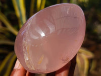 Polished Star Rose Quartz Standing Free Forms x 4 Ambatondrazaka, Madagascar - Toprock Gemstones and Minerals 