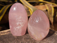 Polished Star Rose Quartz Standing Free Forms x 4 Ambatondrazaka, Madagascar - Toprock Gemstones and Minerals 