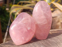 Polished Star Rose Quartz Standing Free Forms x 4 Ambatondrazaka, Madagascar - Toprock Gemstones and Minerals 
