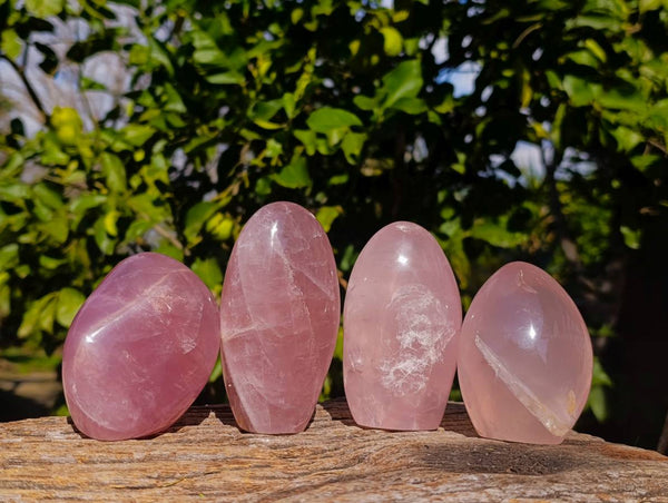 Polished Star Rose Quartz Standing Free Forms x 4 Ambatondrazaka, Madagascar - Toprock Gemstones and Minerals 