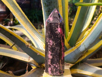 Polished Pink Rhodonite Points x 2 From Ambindavato, Madagascar - Toprock Gemstones and Minerals 