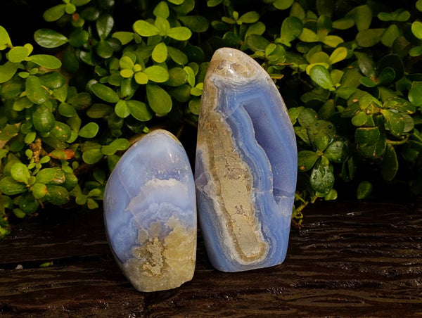 Polished Blue Lace Agate Standing Free Forms x 2 From Nsanje, Malawi
