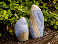 Polished Blue Lace Agate Standing Free Forms x 2 From Nsanje, Malawi