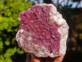 Natural Drusy Salrose on Dolomite Matrix Specimens x 2 From Kakanda, Congo - Toprock Gemstones and Minerals 