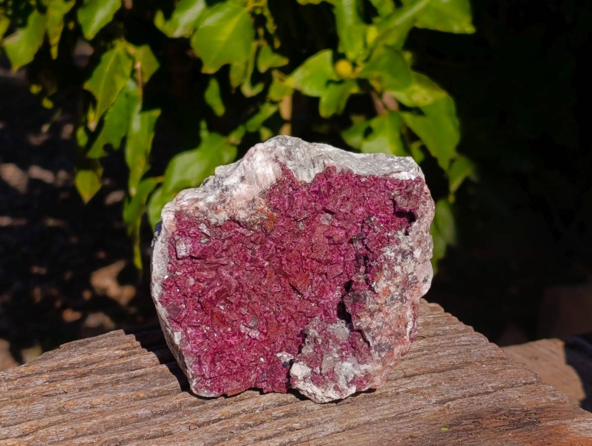 Natural Drusy Salrose on Dolomite Matrix Specimens x 2 From Kakanda, Congo - Toprock Gemstones and Minerals 