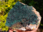 Natural Crystalline Malachite Specimen x 1 From Congo - Toprock Gemstones and Minerals 