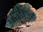 Natural Crystalline Malachite Specimen x 1 From Congo - Toprock Gemstones and Minerals 