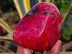Polished Rhodonite Free Forms x 4 From Rhusinga, Zimbabwe - Toprock Gemstones and Minerals 