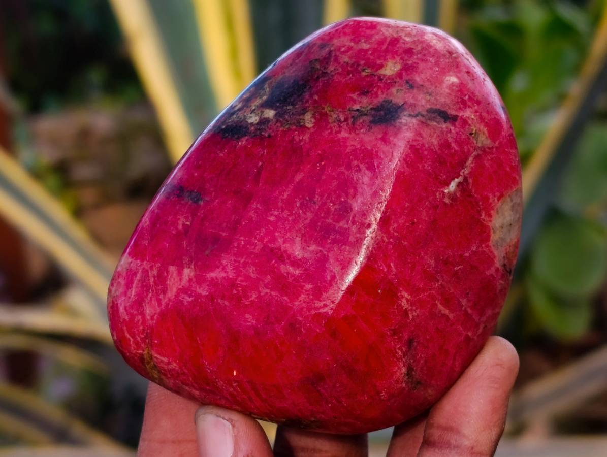 Polished Rhodonite Free Forms x 4 From Rhusinga, Zimbabwe - Toprock Gemstones and Minerals 