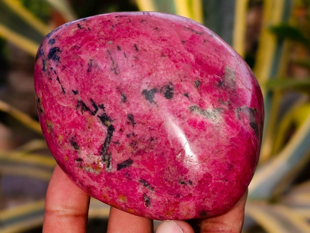 Polished Rhodonite Free Forms x 4 From Rhusinga, Zimbabwe - Toprock Gemstones and Minerals 