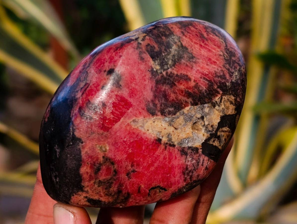 Polished Rhodonite Free Forms x 4 From Rhusinga, Zimbabwe - Toprock Gemstones and Minerals 