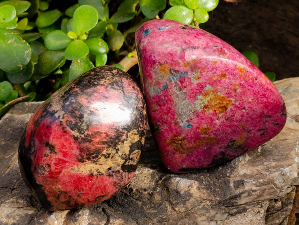 Polished Rhodonite Free Forms x 4 From Rhusinga, Zimbabwe - Toprock Gemstones and Minerals 