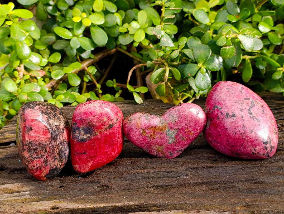 Polished Rhodonite Free Forms x 4 From Rhusinga, Zimbabwe - Toprock Gemstones and Minerals 