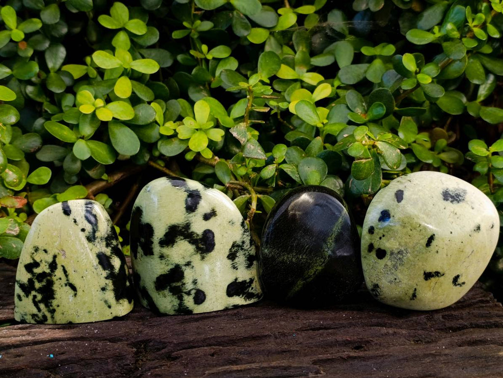 Polished Leopard Stone Standing Free Forms x 4 From Nyanga, Zimbabwe - Toprock Gemstones and Minerals 