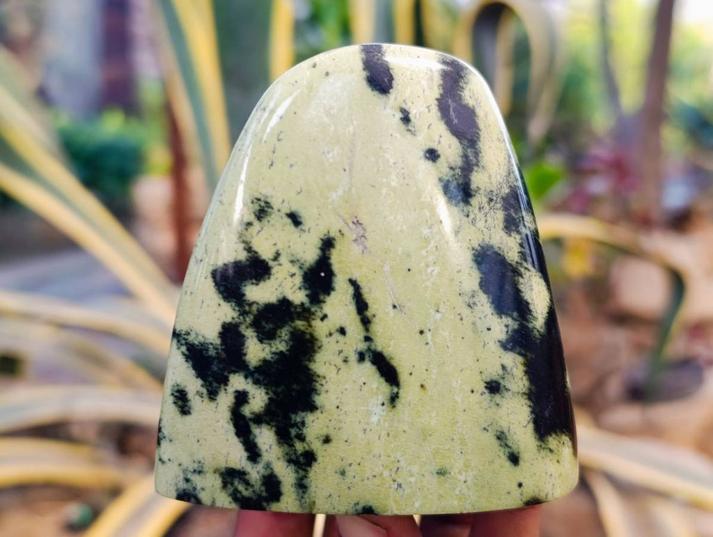 Polished Leopard Stone Standing Free Forms x 4 From Nyanga, Zimbabwe - Toprock Gemstones and Minerals 