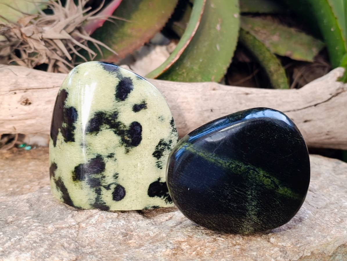 Polished Leopard Stone Standing Free Forms x 4 From Nyanga, Zimbabwe - Toprock Gemstones and Minerals 