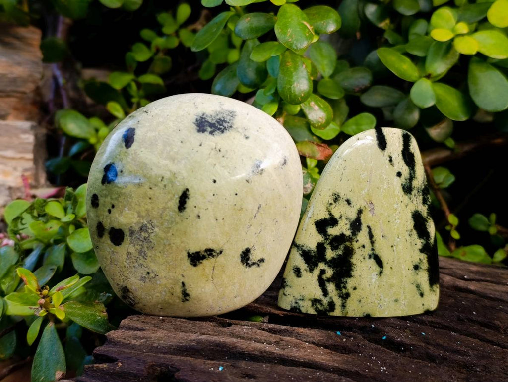 Polished Leopard Stone Standing Free Forms x 4 From Nyanga, Zimbabwe - Toprock Gemstones and Minerals 
