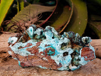 Natural Drusy Coated Chrysocolla Specimens x 2 From Lupoto Mine, Congo - Toprock Gemstones and Minerals 