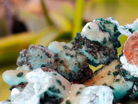 Natural Drusy Coated Chrysocolla Specimens x 2 From Lupoto Mine, Congo - Toprock Gemstones and Minerals 
