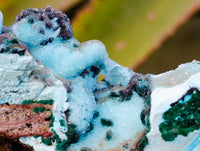 Natural Drusy Coated Chrysocolla Specimens x 2 From Lupoto Mine, Congo - Toprock Gemstones and Minerals 
