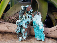 Natural Drusy Coated Chrysocolla Specimens x 2 From Lupoto Mine, Congo - Toprock Gemstones and Minerals 