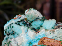 Natural Drusy Coated Chrysocolla Specimens x 2 From Lupoto Mine, Congo - Toprock Gemstones and Minerals 