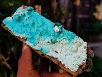 Natural Drusy Coated Chrysocolla Specimens x 2 From Lupoto Mine, Congo - Toprock Gemstones and Minerals 