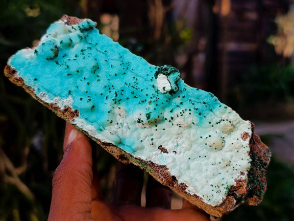 Natural Drusy Coated Chrysocolla Specimens x 2 From Lupoto Mine, Congo