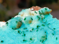 Natural Drusy Coated Chrysocolla Specimens x 2 From Lupoto Mine, Congo - Toprock Gemstones and Minerals 