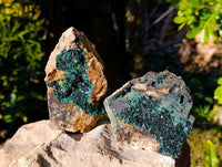 Natural XX Rare Crystalline Malachite Specimens x 3 From Congo