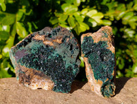 Natural XX Rare Crystalline Malachite Specimens x 3 From Congo