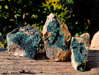 Natural XX Rare Crystalline Malachite Specimens x 3 From Congo