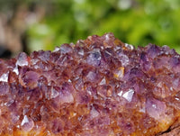 Natural Amethystos Amethyst Plates x 24 From Kwaggafontein, South Africa