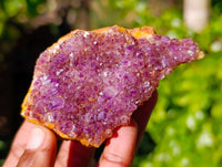 Natural Amethystos Amethyst Plates x 24 From Kwaggafontein, South Africa