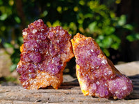 Natural Amethystos Amethyst Plates x 24 From Kwaggafontein, South Africa
