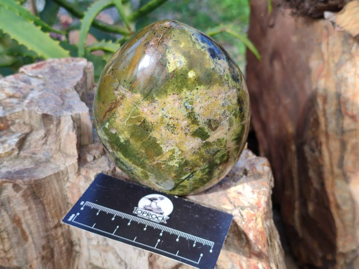 Polished Green Opal Standing Free Forms x 2 From Betroka, Madagascar - Toprock Gemstones and Minerals 
