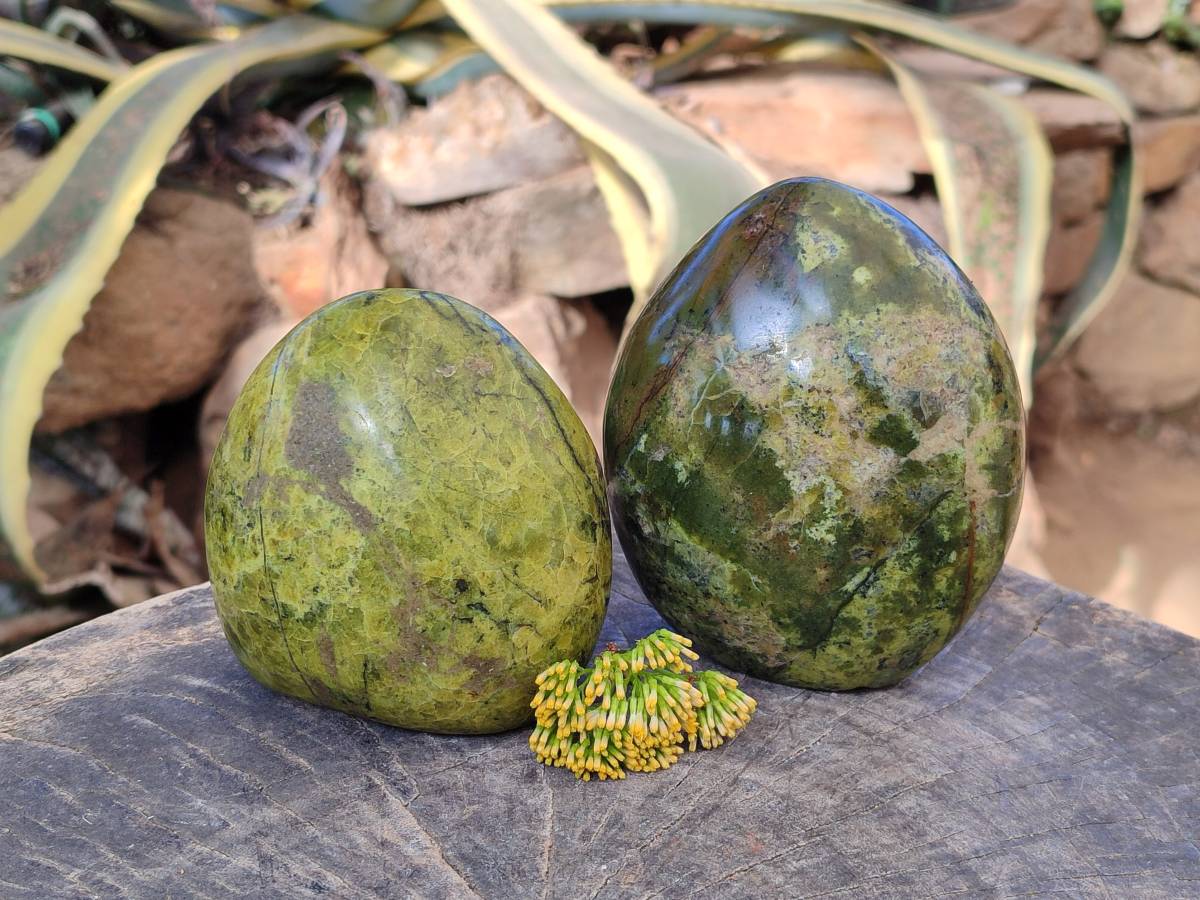 Polished Green Opal Standing Free Forms x 2 From Betroka, Madagascar - Toprock Gemstones and Minerals 