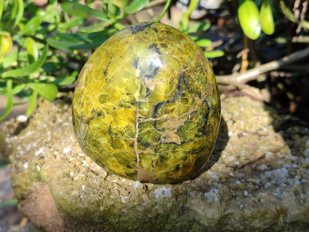 Polished Green Opal Standing Free Forms x 2 From Betroka, Madagascar - Toprock Gemstones and Minerals 