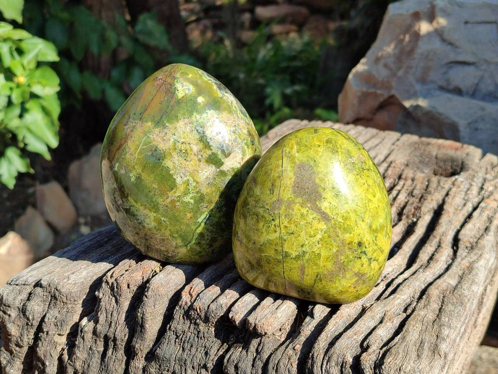 Polished Green Opal Standing Free Forms x 2 From Betroka, Madagascar - Toprock Gemstones and Minerals 