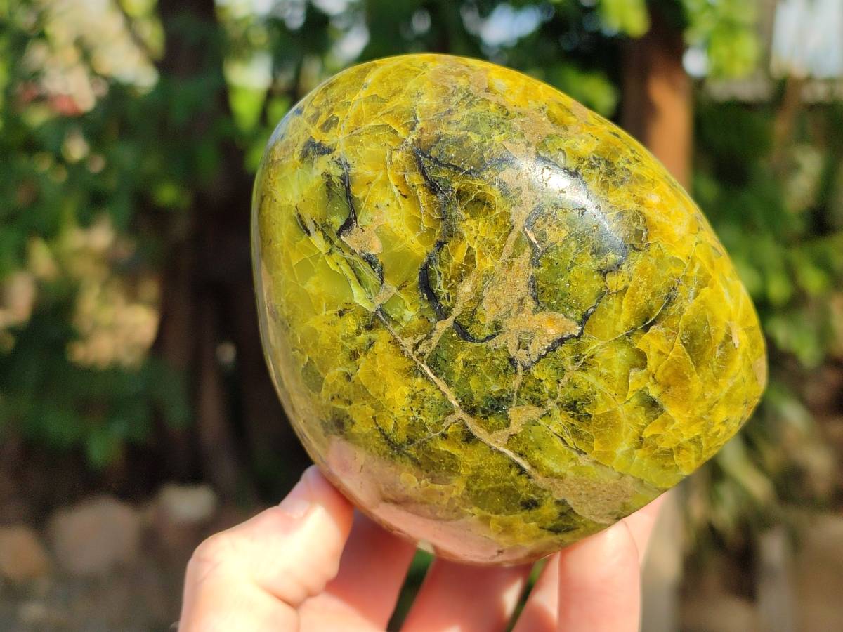 Polished Green Opal Standing Free Forms x 2 From Betroka, Madagascar - Toprock Gemstones and Minerals 