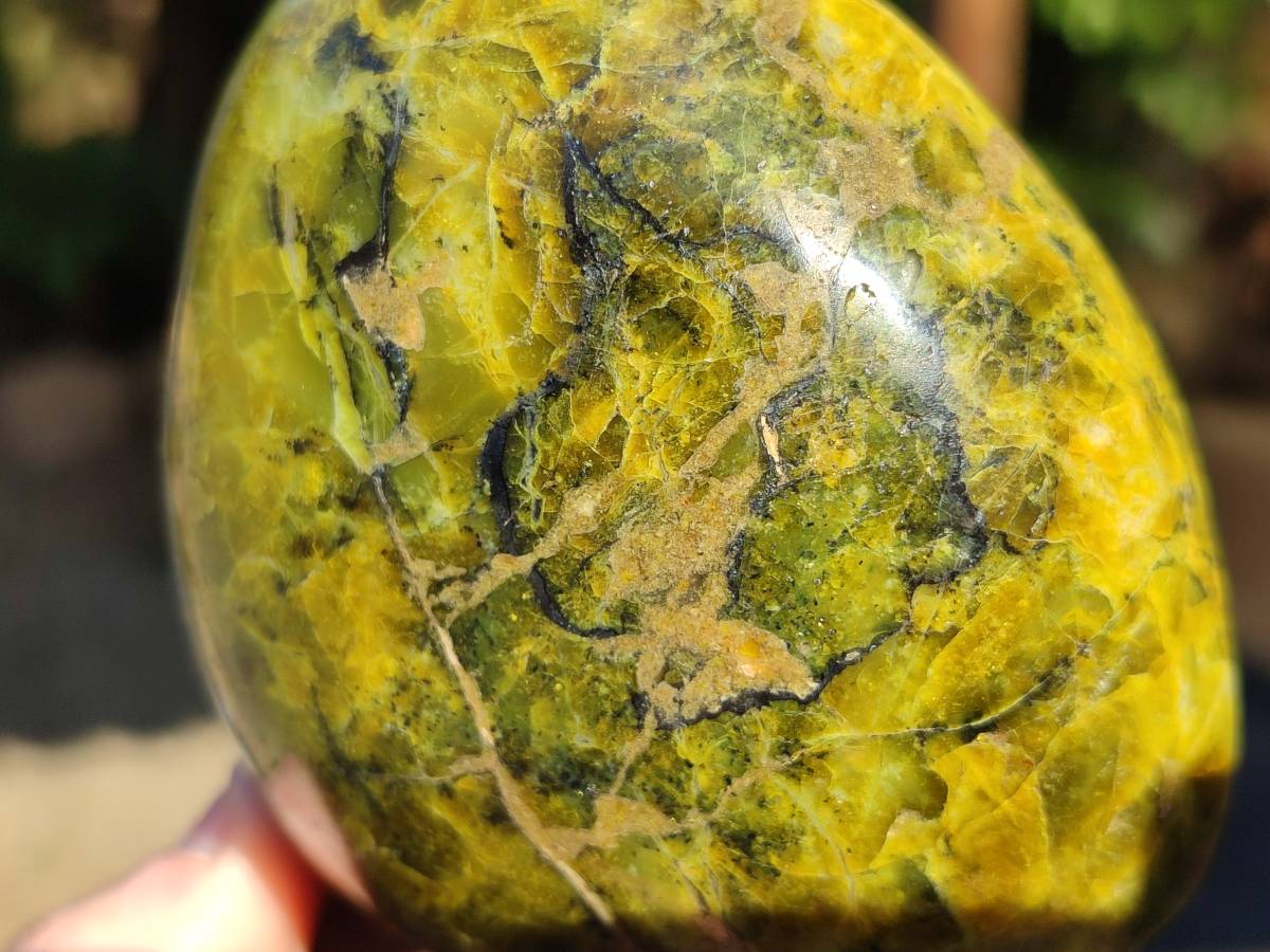 Polished Green Opal Standing Free Forms x 2 From Betroka, Madagascar - Toprock Gemstones and Minerals 