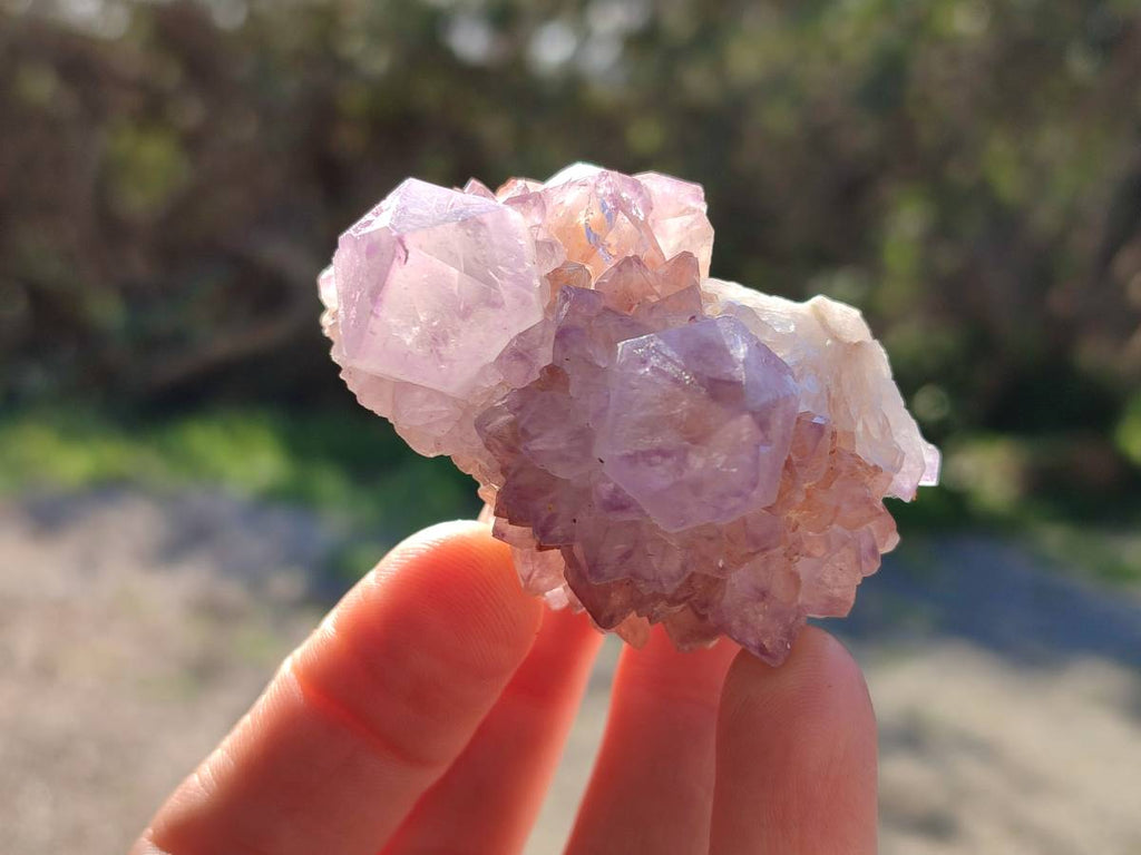 Natural Amethyst Spirit Quartz Clusters x 12 From Boekenhouthoek, South Africa - Toprock Gemstones and Minerals 
