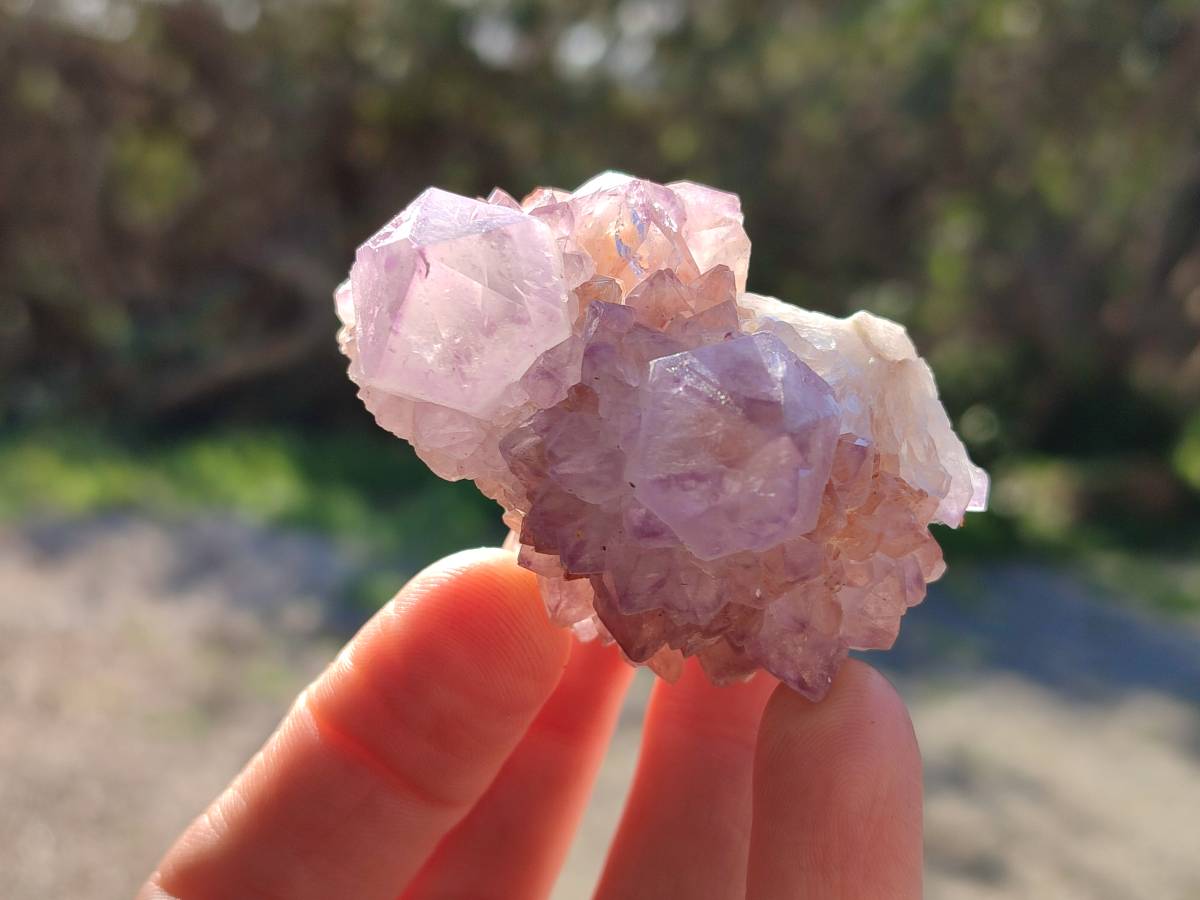 Natural Amethyst Spirit Quartz Clusters x 12 From Boekenhouthoek, South Africa - Toprock Gemstones and Minerals 