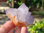 Natural Amethyst Spirit Quartz Clusters x 12 From Boekenhouthoek, South Africa - Toprock Gemstones and Minerals 