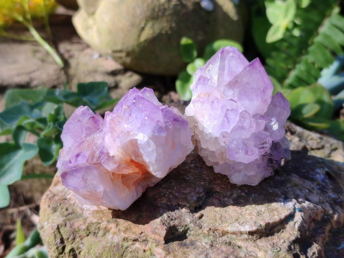 Natural Amethyst Spirit Quartz Clusters x 12 From Boekenhouthoek, South Africa - Toprock Gemstones and Minerals 