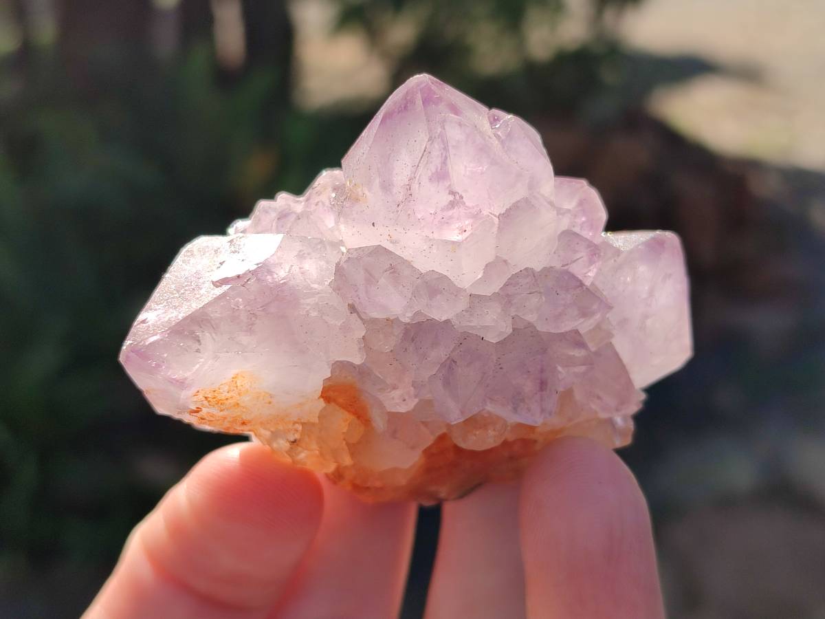 Natural Amethyst Spirit Quartz Clusters x 12 From Boekenhouthoek, South Africa - Toprock Gemstones and Minerals 