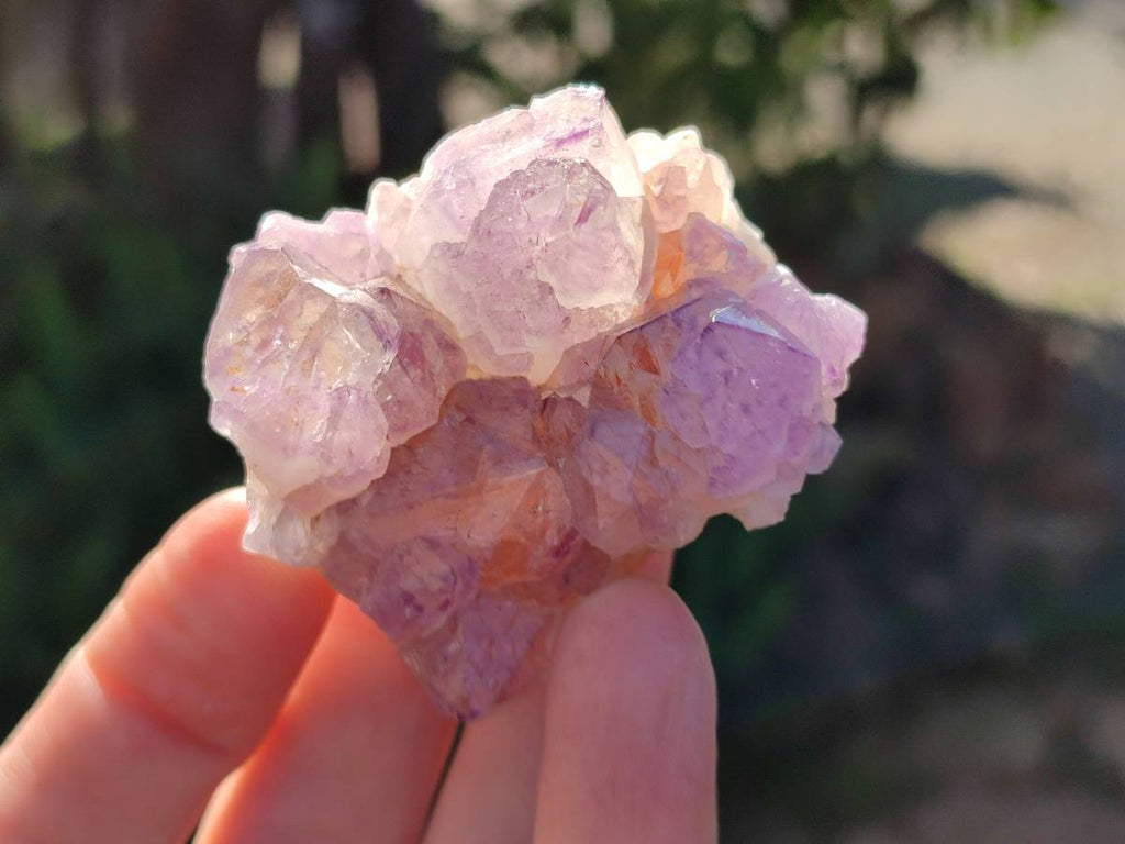 Natural Amethyst Spirit Quartz Clusters x 12 From Boekenhouthoek, South Africa - Toprock Gemstones and Minerals 
