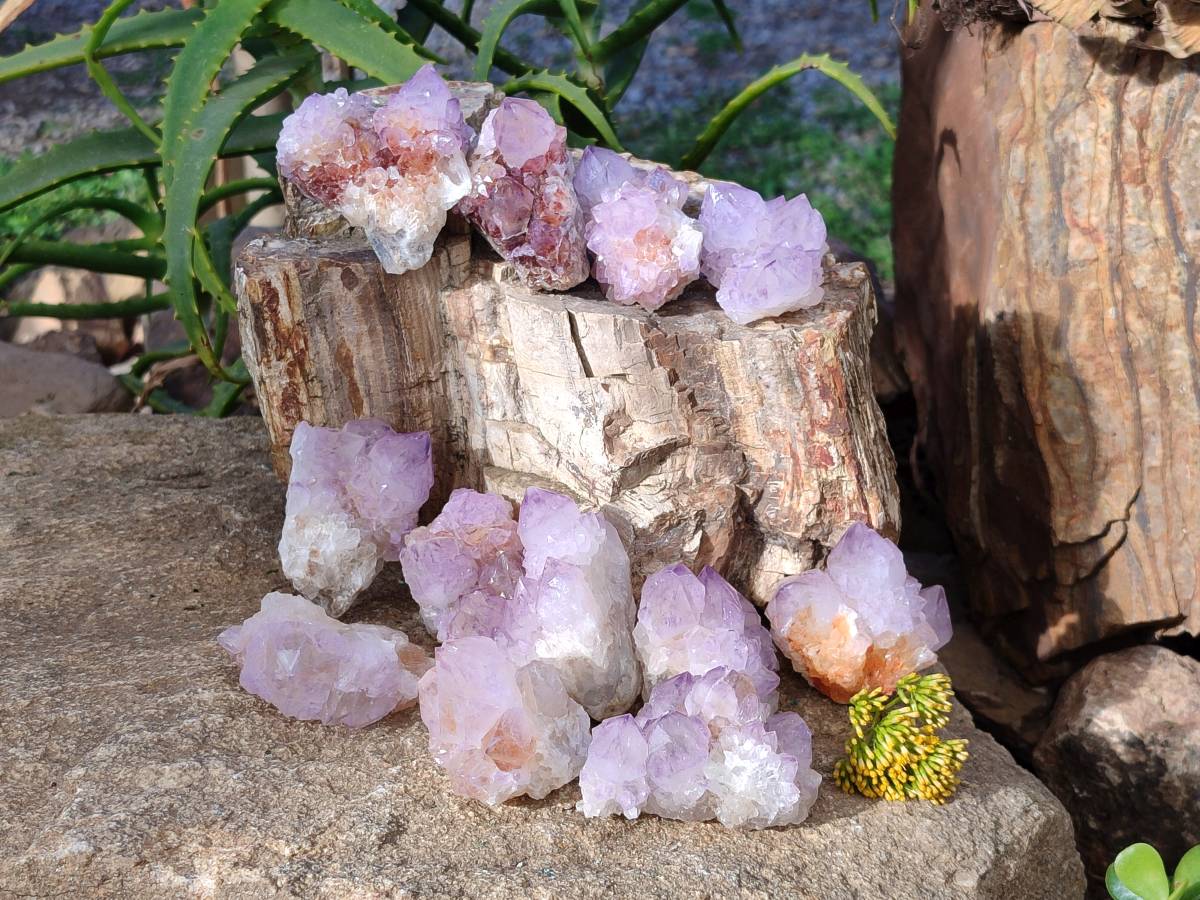 Natural Amethyst Spirit Quartz Clusters x 12 From Boekenhouthoek, South Africa - Toprock Gemstones and Minerals 