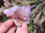 Natural Amethyst Spirit Quartz Clusters x 12 From Boekenhouthoek, South Africa - Toprock Gemstones and Minerals 